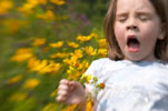 allergy