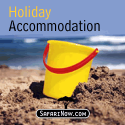 SafariNow.com - A Great Stay, A Click Away