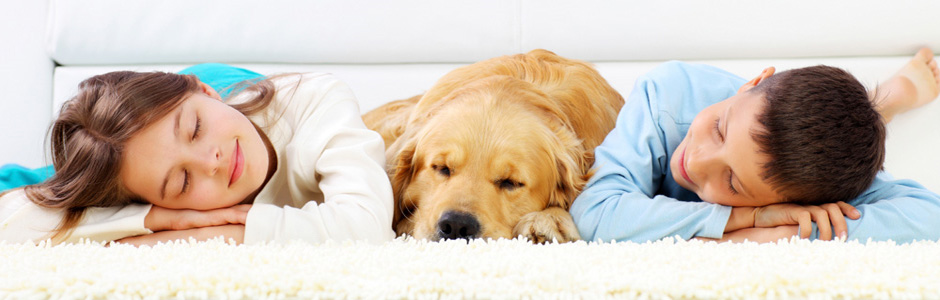 Dry Cleaning Services - Polokwane